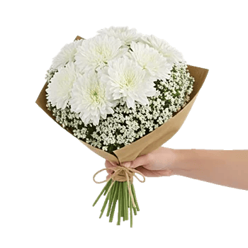 Delicate Petal Cascade