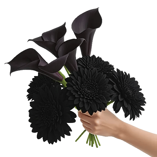 Elegant Calla Lilies