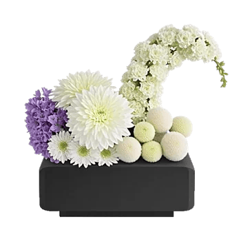 Ivory Blossom Radiance