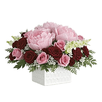 Petal Radiance Bliss