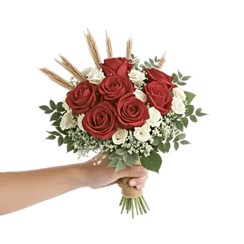 Blushing Rose Symphony