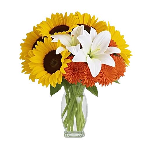 Radiant Bloom Cascade