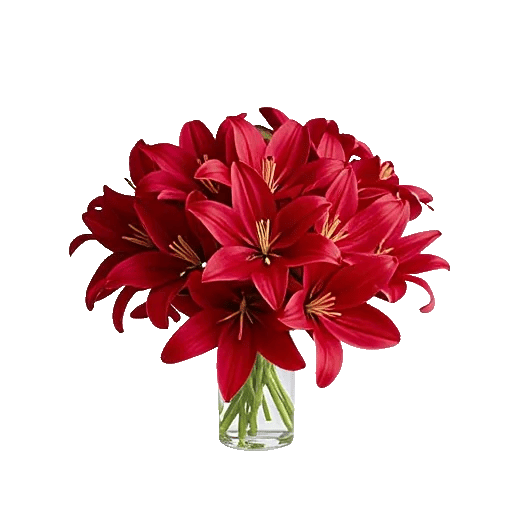 Crimson Lily Glow