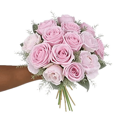 Pastel Pink Roses