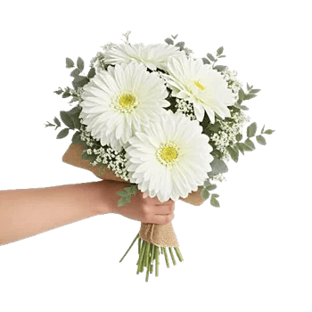 Ivory Garden Grace