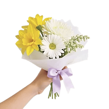 Blossom Harmony Display