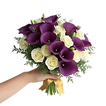 Elegant Calla Lilies