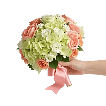 Serene Petal Harmony