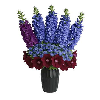 Velvet Tulip Display