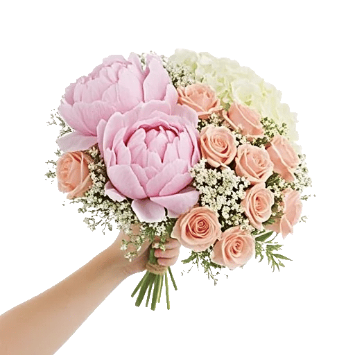 Peony Petal Harmony