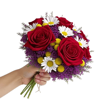 Crimson Rose Elegance