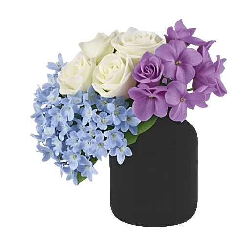 Ivory Blossom Radiance