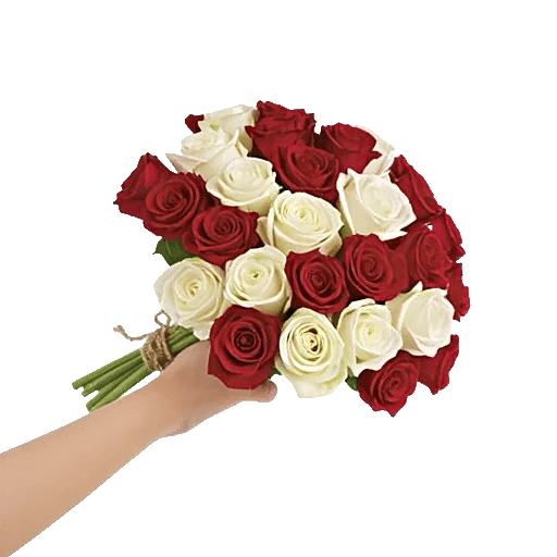 Crimson Rose Elegance