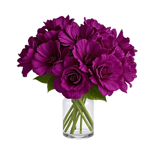 Crimson Blossom Harmony