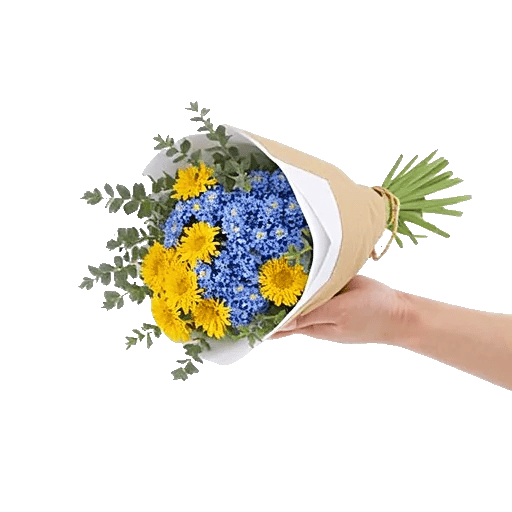 Blossom Petal Serenity