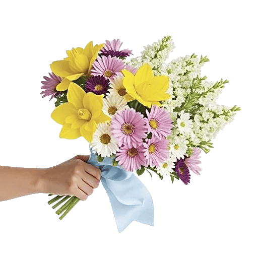 Blossom Harmony Display