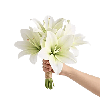 Graceful Lily Display