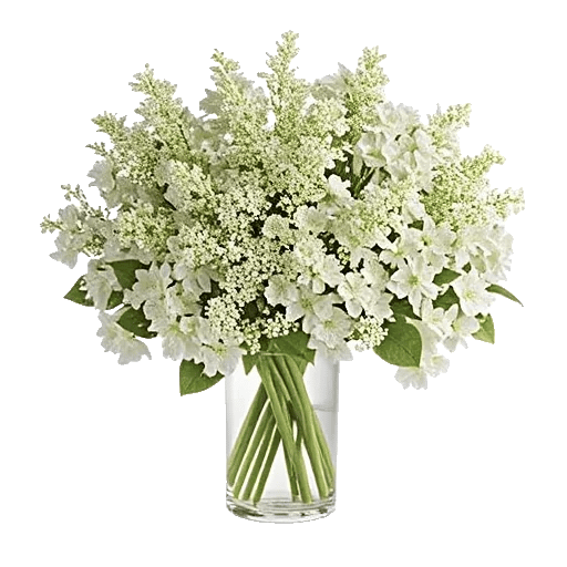 Delicate Petal Cascade