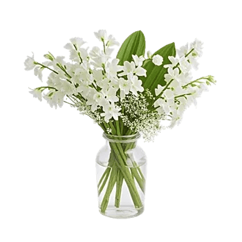 Graceful Lily Display