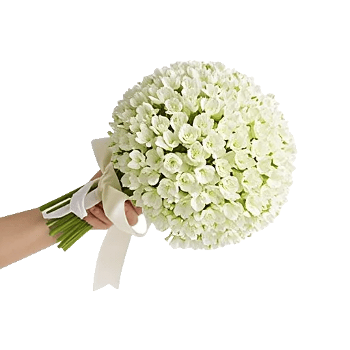 Ivory Blossom Radiance