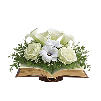 Elegant Calla Lilies