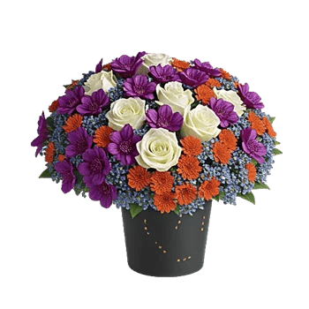 Petal Radiance Bliss