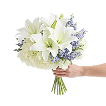 Ivory Blossom Radiance