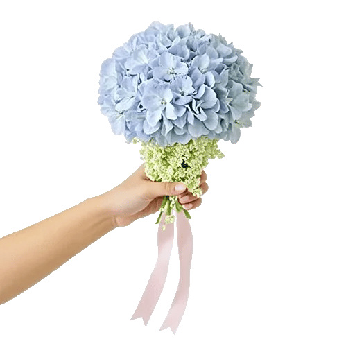 Delicate Petal Cascade