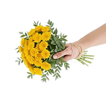 Blossom Harmony Display