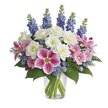 Ivory Blossom Radiance