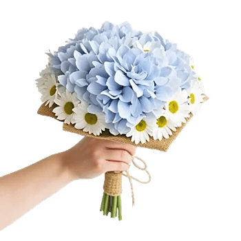 Serene Petal Harmony