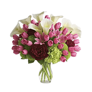 Elegant Calla Lilies