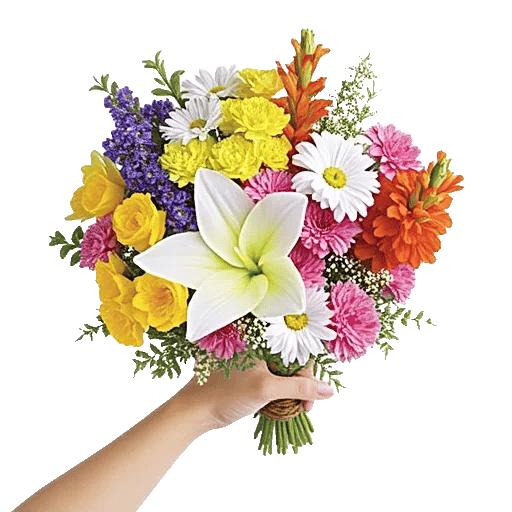 Blossom Harmony Display