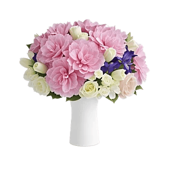 Ivory Blossom Radiance