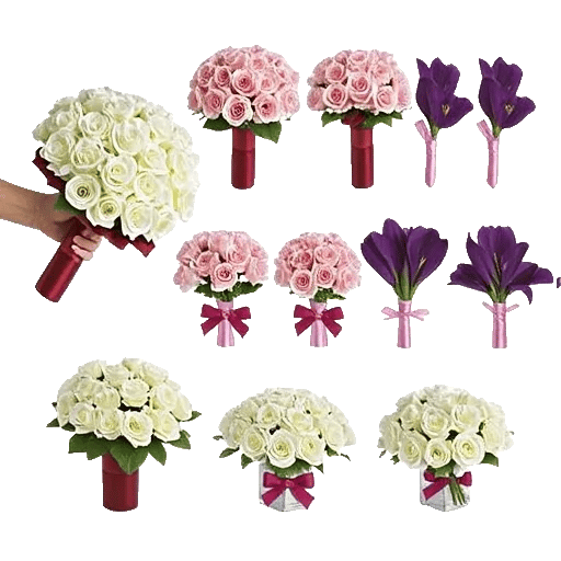 Elegant Calla Lilies