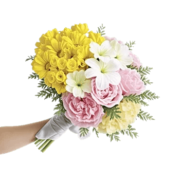 Blossom Harmony Display