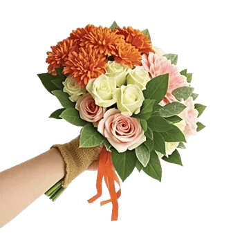 Vibrant Orange Delight