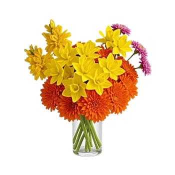 Petal Radiance Bliss