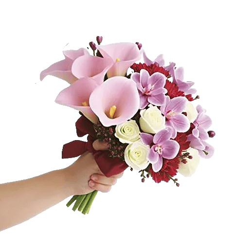 Elegant Calla Lilies