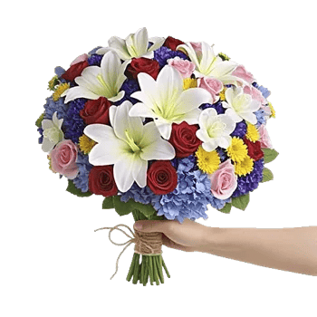 Blossom Harmony Display