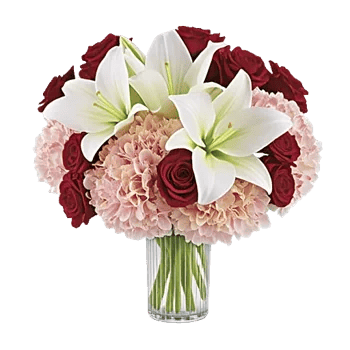 Graceful Lily Display