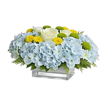 Sapphire Bloom Whisper