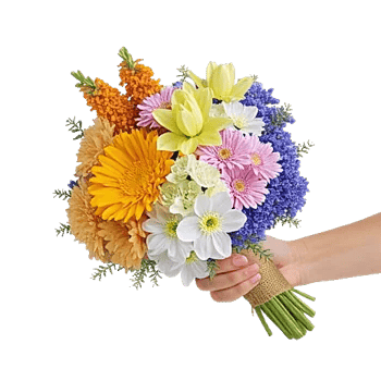 Petal Harmony Bliss