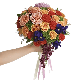 Delicate Petal Cascade