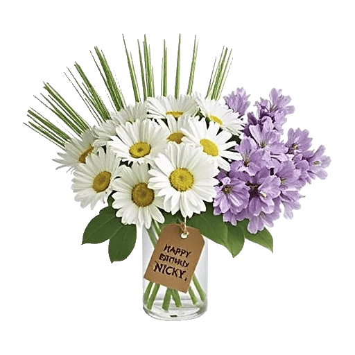 Enchanting Daisy Garden
