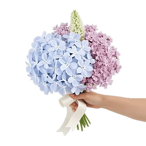 Serene Petal Harmony