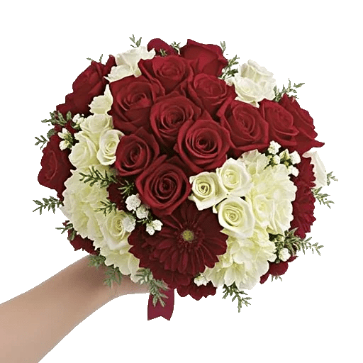 Blushing Rose Symphony