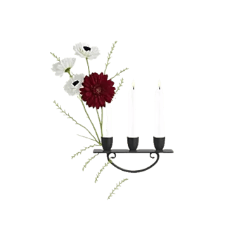 Elegant Calla Lilies