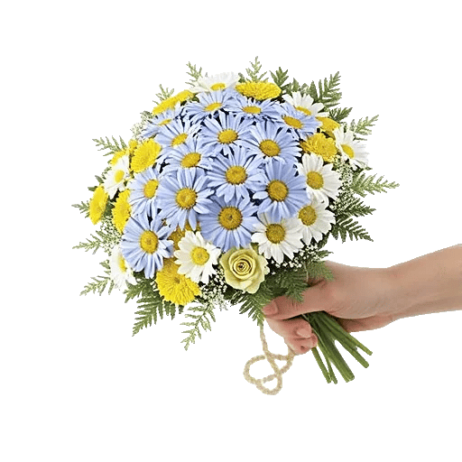 Pastel Blossom Grace