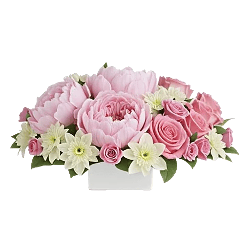 Petal Grace Harmony